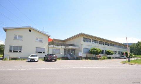 Rankweil Halle, Rankweil Hallenfläche