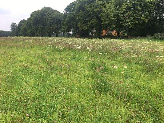 Ihr Grundstück wartet schon...!