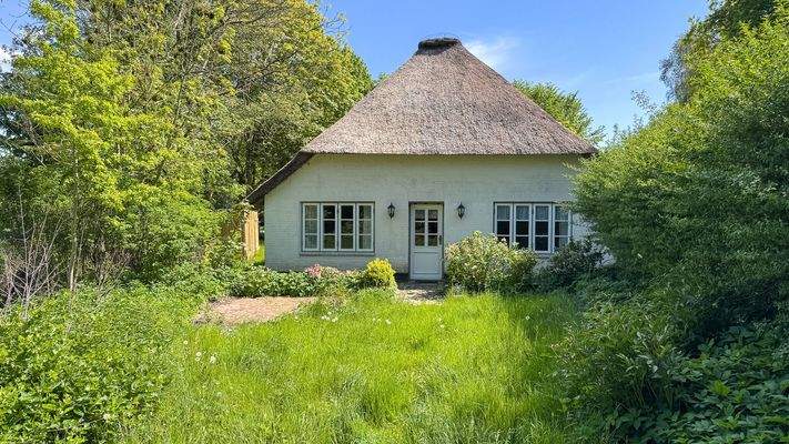 Ansicht Garten und Hauseingang der Einliegerwohnung mit Nord-Ost-Ausrichtung