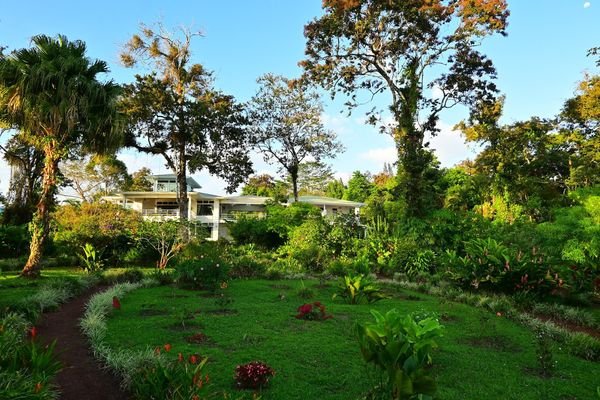 Blick aufs Haus mit Garten