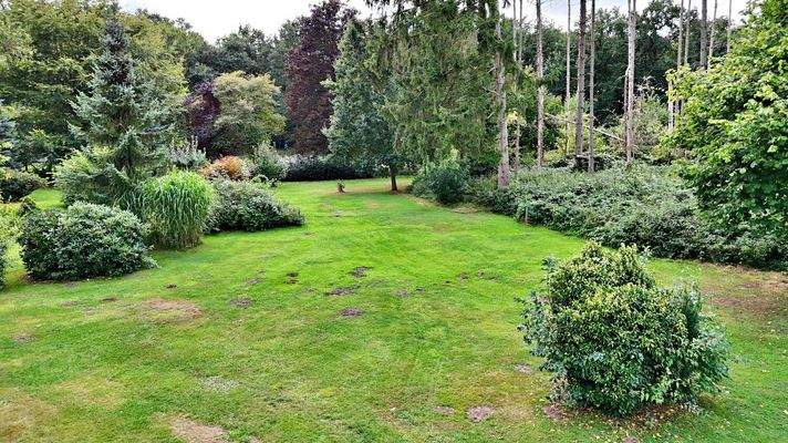 Blick über das Grundstück