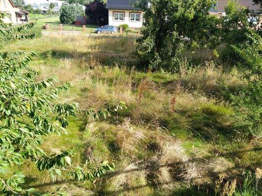 Blick von der Hauptstraße