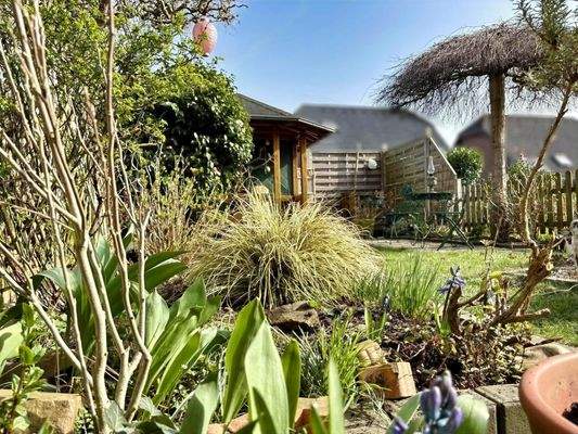 Garten Detailaufnahme