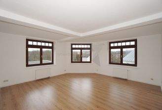 Wohn- und Schlafzimmer