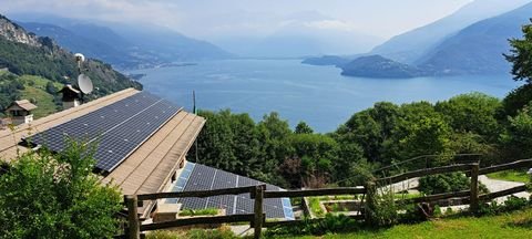 PIANELLO DEL LARIO Häuser, PIANELLO DEL LARIO Haus kaufen