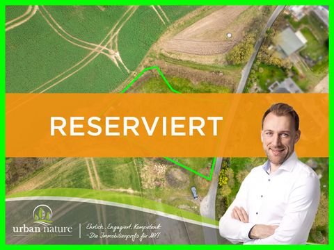 Steffenshagen Bauernhöfe, Landwirtschaft, Steffenshagen Forstwirtschaft