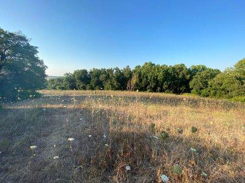 Chalkidiki Bauernhöfe, Landwirtschaft, Chalkidiki Forstwirtschaft