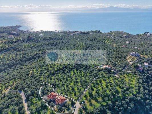 1eb9fb78cd2b4083b5a00c8d77185191-original