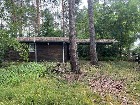 1123-2024-06-30 002.jpg