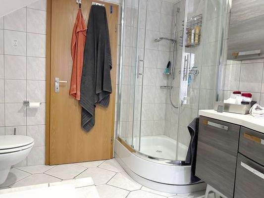 und Dusche sowie Fenster.