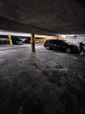 1000025550.jpg