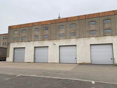 Berlin Halle, Berlin Hallenfläche