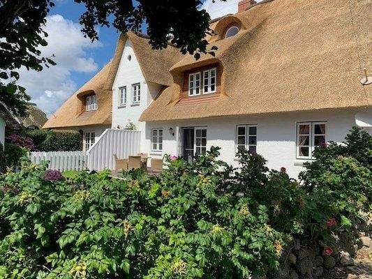 Terrasse mit Friesenwall