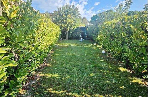 Schermata 2024-11-25 alle 16.59.28.jpg