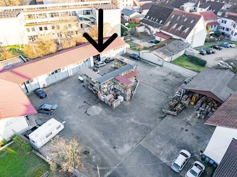 Emmendingen Halle, Emmendingen Hallenfläche