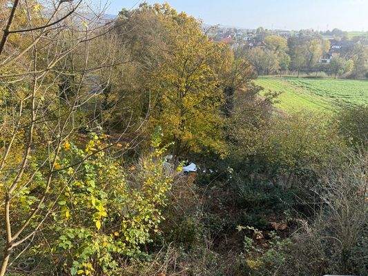 Ausblick vordere Terrasse 