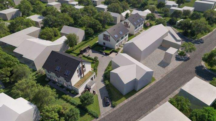 Erlangen Vogelp 241119