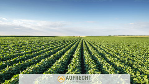 Jetzendorf Bauernhöfe, Landwirtschaft, Jetzendorf Forstwirtschaft