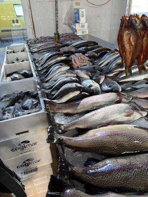 so gibt's FISCH - Fisch-MARKT!