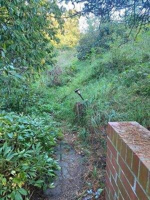 Zugang Grundstück-Hanglage