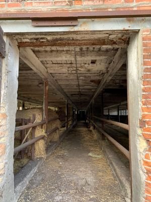 IMG_7579