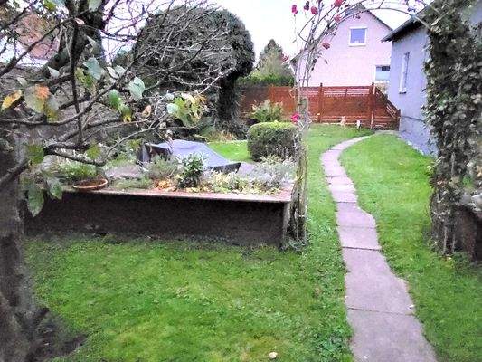 Garten hinter dem Haus