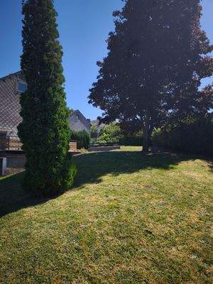 Grundstück bepflanzt