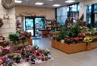 Mietfläche Lauenburg