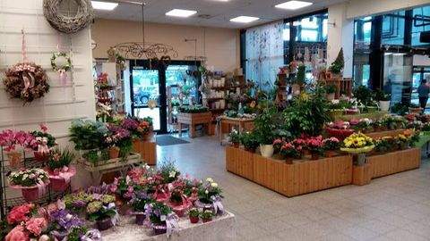 Lauenburg/Elbe Ladenlokale, Ladenflächen 