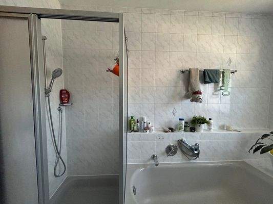 Badezimmer (DG-Wohnung)