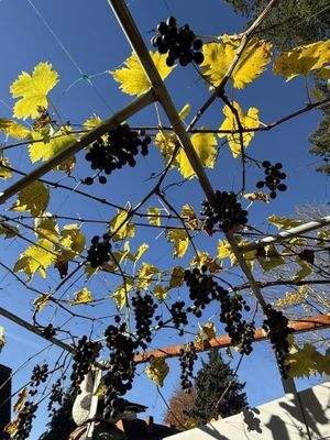 Impressionen von der Terrasse