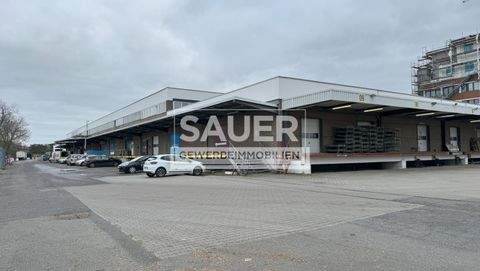 Berlin Halle, Berlin Hallenfläche