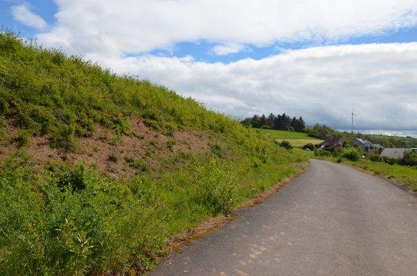 Links bergseitige Grundstücke