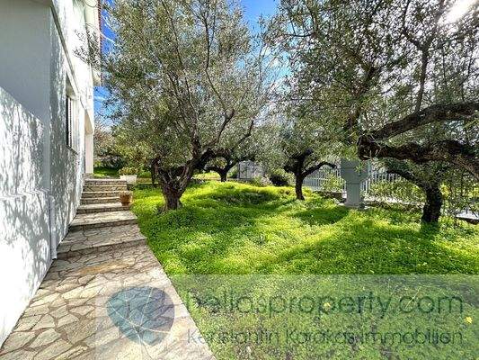 img_a67d80fb-9efa-4fca-a178-869e81a3e0ff