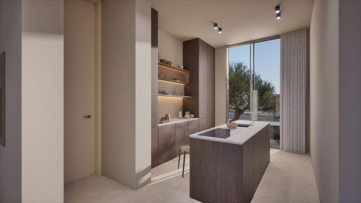 Lofos Type C_Kitchen