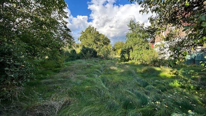 Hintere Grundstückshälfte