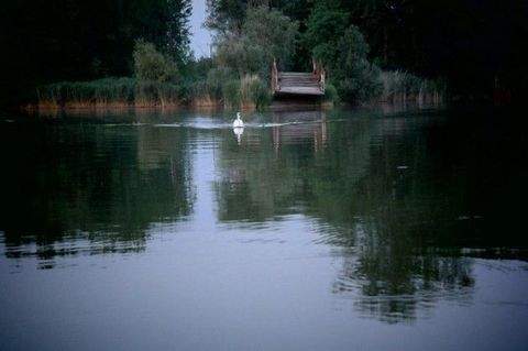 Tolna megye Häuser, Tolna megye Haus kaufen