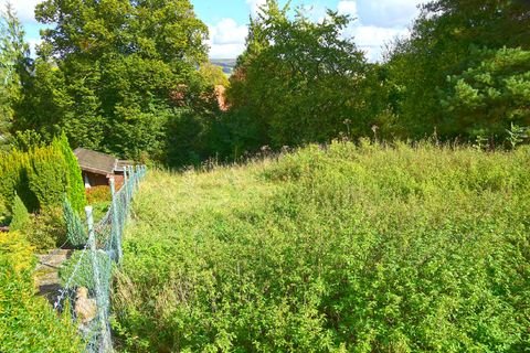 Salzhemmendorf Grundstücke, Salzhemmendorf Grundstück kaufen