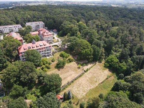 Dresden Grundstücke, Dresden Grundstück kaufen
