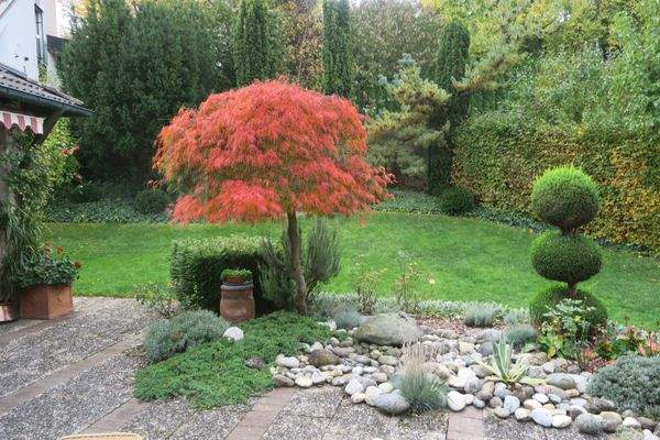 Blick aus dem Wohnzimmer