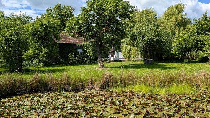 Blick über den Weiher zum Hof.jpg