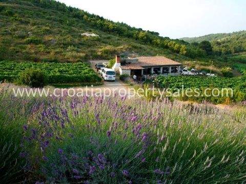 Vis Häuser, Vis Haus kaufen