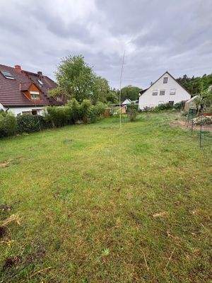 Blick von der Holsteiner Straße ins Grundstück.jpg