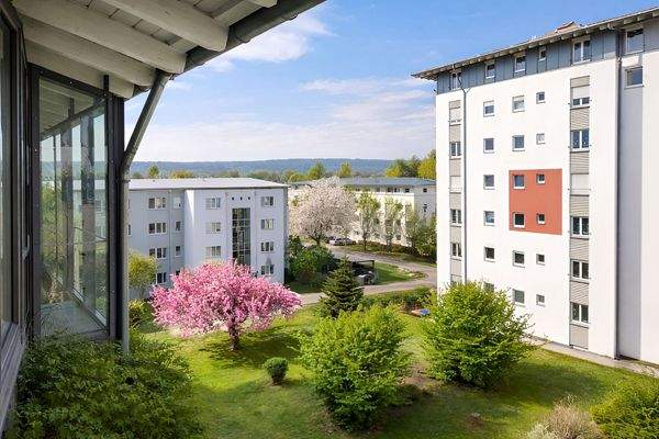 gepflegte Außenanlage