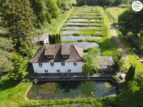 Ochsenhausen Bauernhöfe, Landwirtschaft, Ochsenhausen Forstwirtschaft
