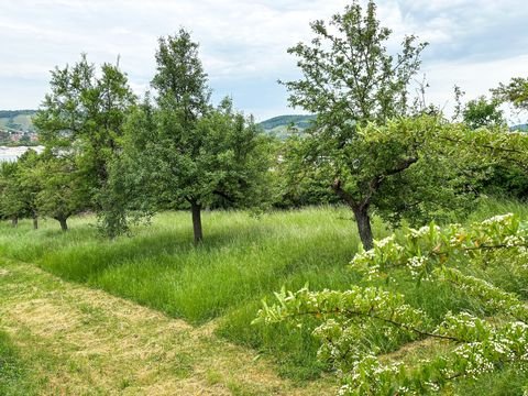 Würzburg Grundstücke, Würzburg Grundstück kaufen