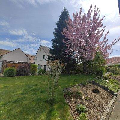 EFH - Garten Hofbereich 01