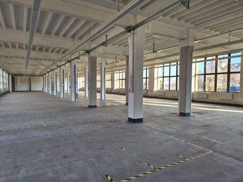 Dresden Halle, Dresden Hallenfläche