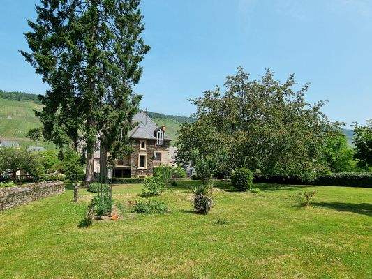 historische Winzervilla  im Herzen von Wehlen