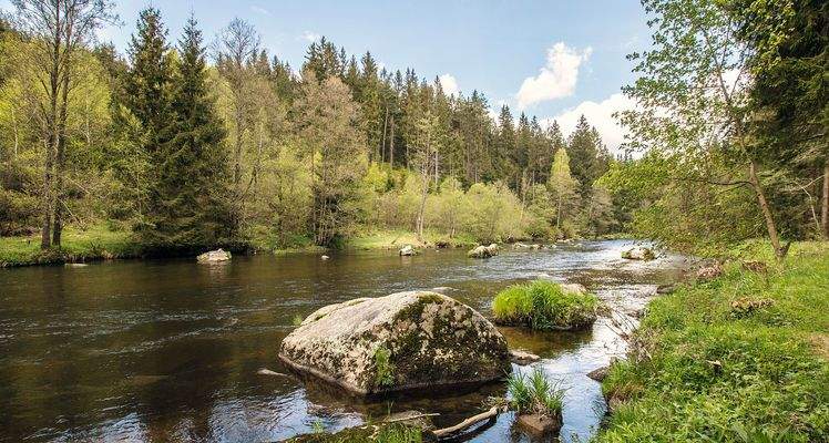 bayerischer-wald-top